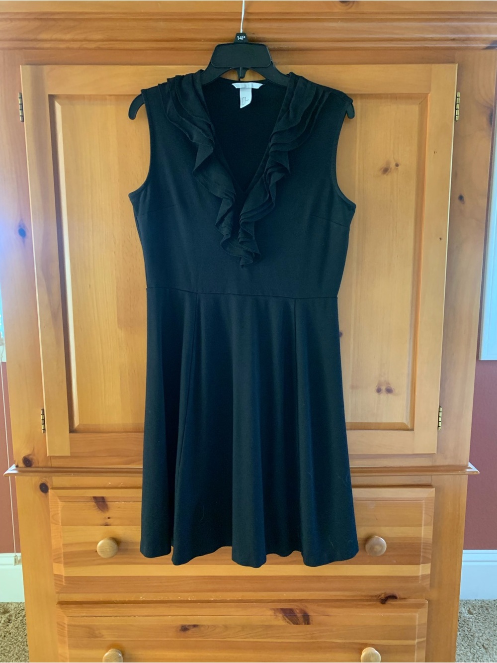 H&M Black Sleeveless Ruffle V-Neck Mini Dress
